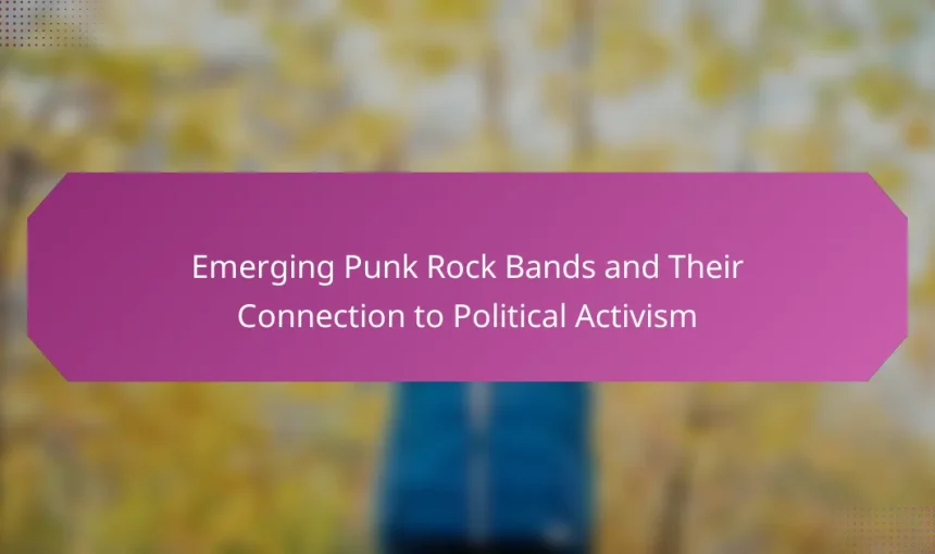 Emerging Punk Rock Bands and Their Connection to Political Activism