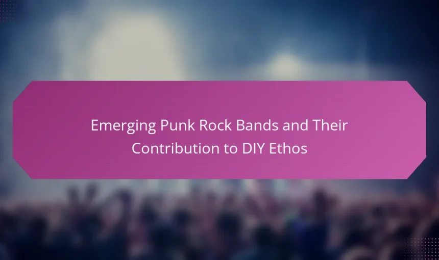 Emerging Punk Rock Bands and Their Contribution to DIY Ethos