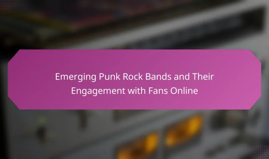 Emerging Punk Rock Bands and Their Engagement with Fans Online