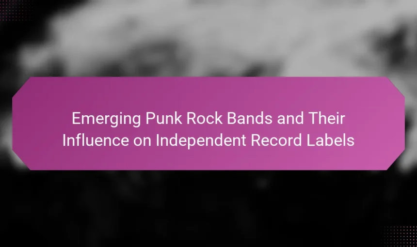 Emerging Punk Rock Bands and Their Influence on Independent Record Labels