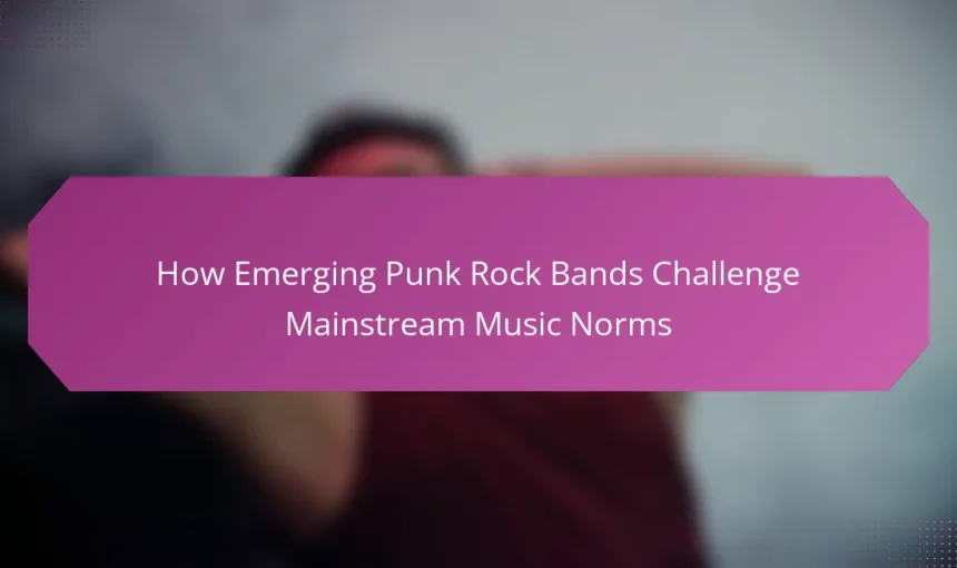 How Emerging Punk Rock Bands Challenge Mainstream Music Norms