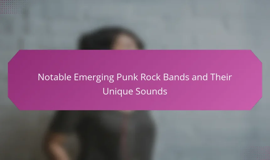 Notable Emerging Punk Rock Bands and Their Unique Sounds