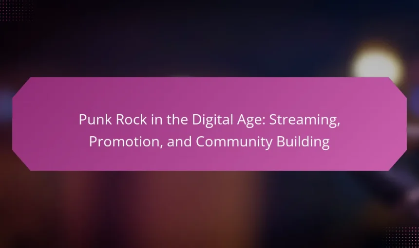 Punk Rock in the Digital Age: Streaming, Promotion, and Community Building