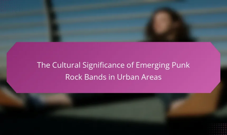 The Cultural Significance of Emerging Punk Rock Bands in Urban Areas
