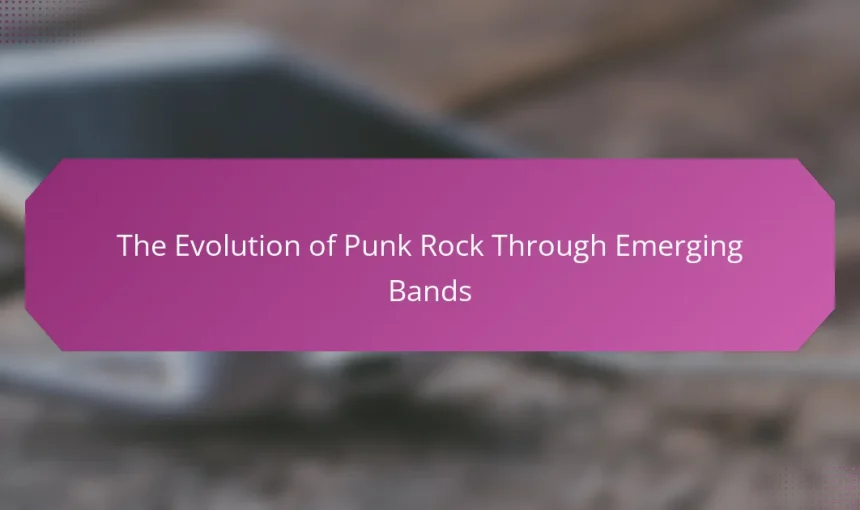The Evolution of Punk Rock Through Emerging Bands