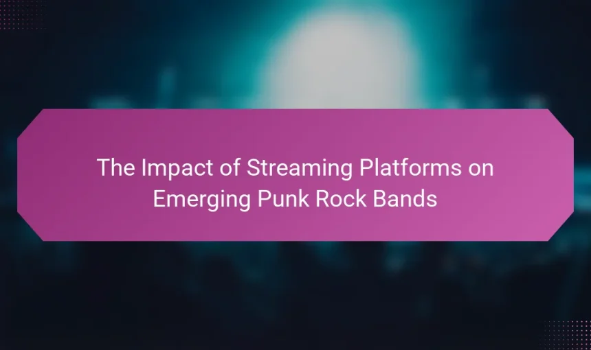 The Impact of Streaming Platforms on Emerging Punk Rock Bands