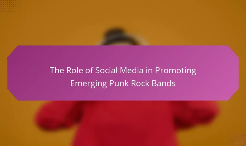 The Role of Social Media in Promoting Emerging Punk Rock Bands