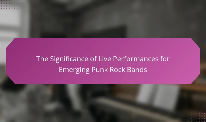 The Significance of Live Performances for Emerging Punk Rock Bands