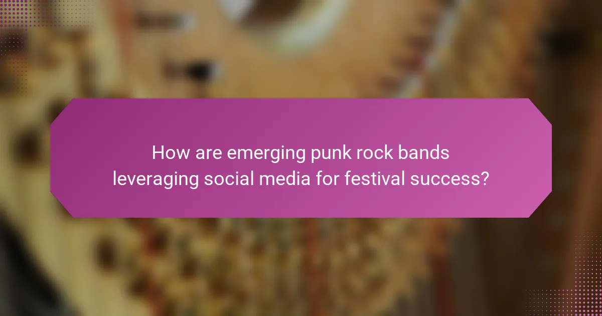 How are emerging punk rock bands leveraging social media for festival success?