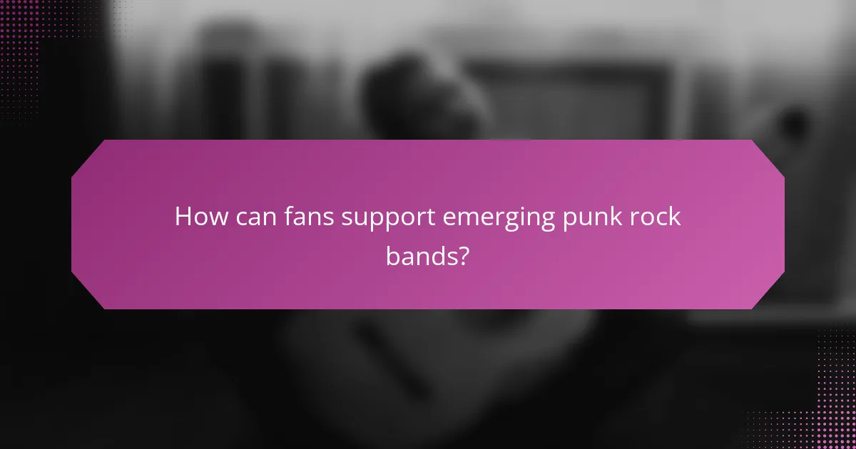 How can fans support emerging punk rock bands?
