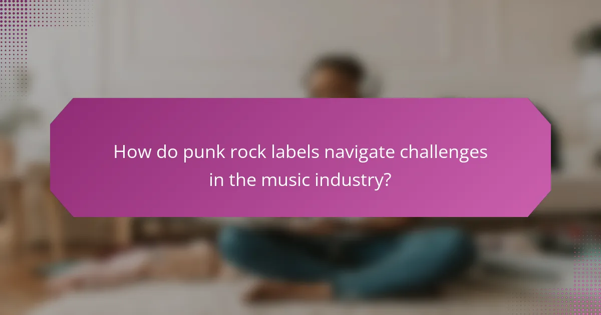 How do punk rock labels navigate challenges in the music industry?