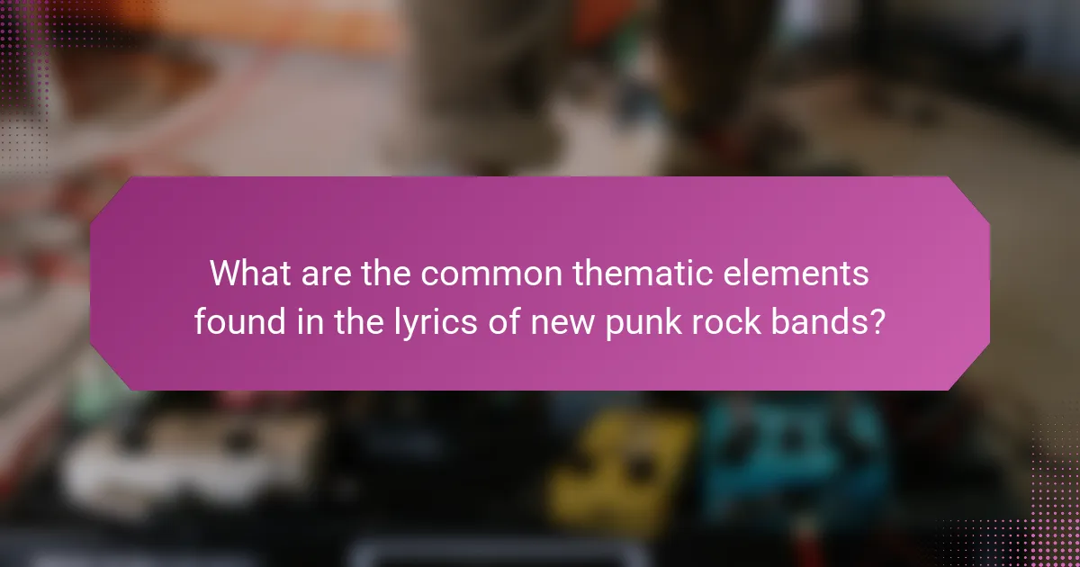 What are the common thematic elements found in the lyrics of new punk rock bands?