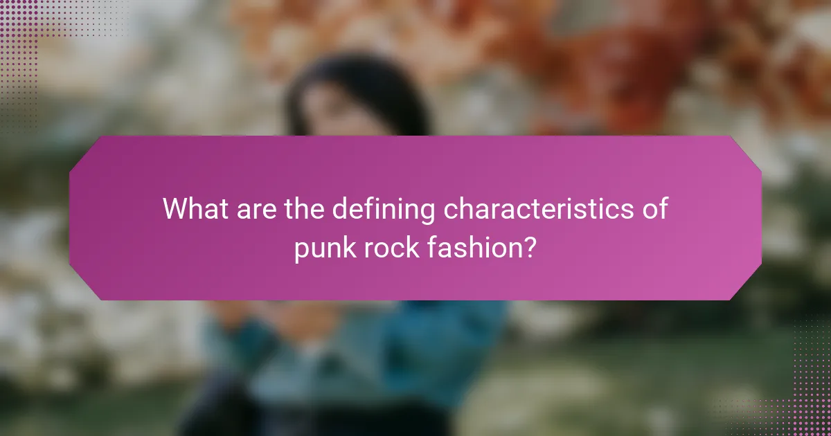 What are the defining characteristics of punk rock fashion?
