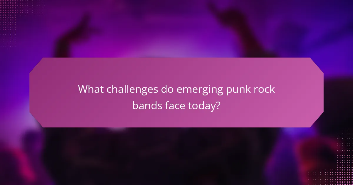 What challenges do emerging punk rock bands face today?