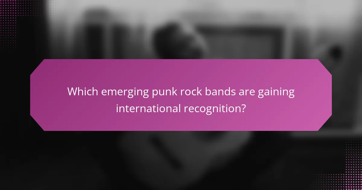 Which emerging punk rock bands are gaining international recognition?