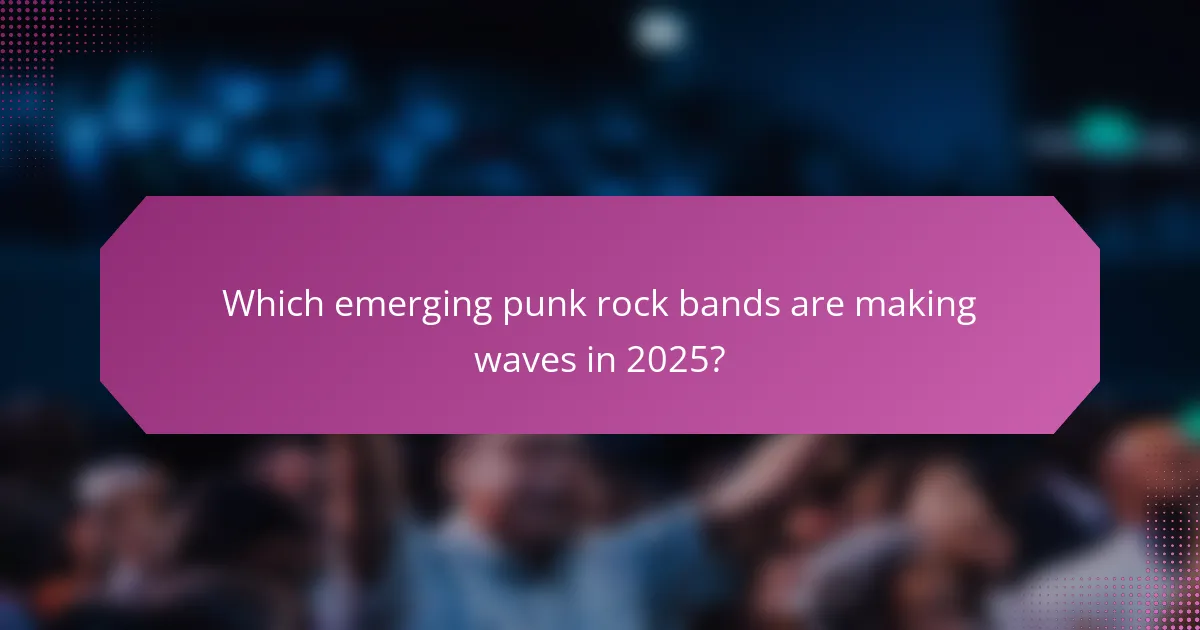 Which emerging punk rock bands are making waves in 2025?